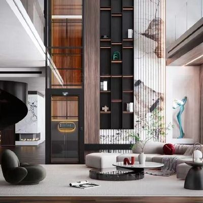 1~2인 스퀴드 드라이브 엘리베이터 실내 스퀴드 드라이브 홈 엘리베이터