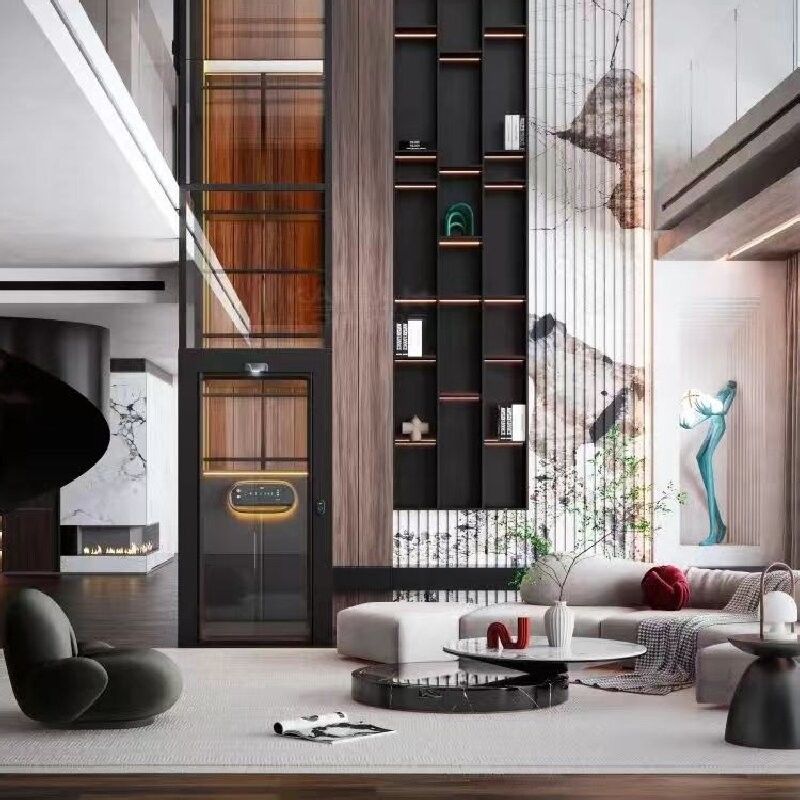 1~2인 스퀴드 드라이브 엘리베이터 실내 스퀴드 드라이브 홈 엘리베이터