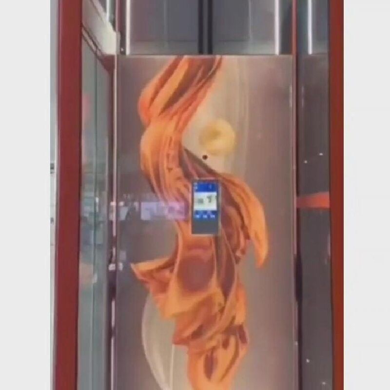 스테인레스 스틸 소형 주거용 엘리베이터 400kg 소형 집용 엘리베이터