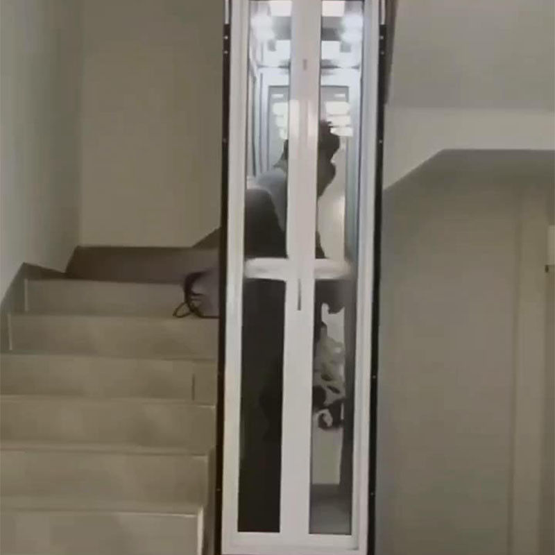 집과 기업용 콤팩트 하이드라릭 엘리베이터 400kg 용량