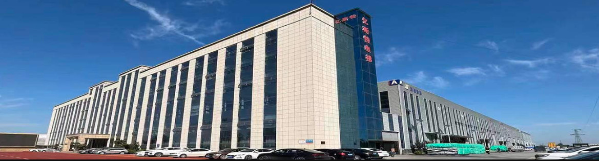 Shandong Vitality Commerce Co., ltd. 공장 생산 라인