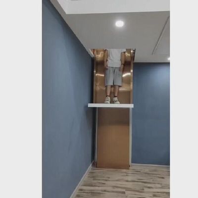 30M 여행용 가정용 수압 엘리베이터 400Kg 컴팩트 수압 가정용 엘리베이터
