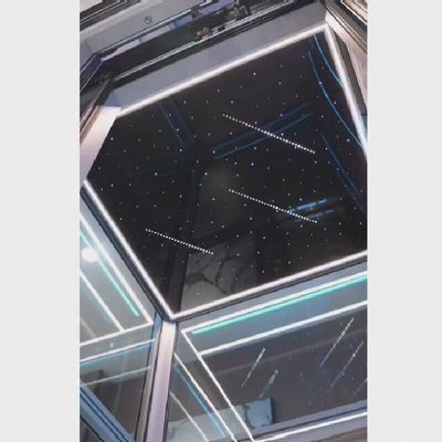 쿼인트 트랙션 홈 엘리베이터 VVVF 제어 기어 없는 ss 객실 엘리베이터 1년 보증