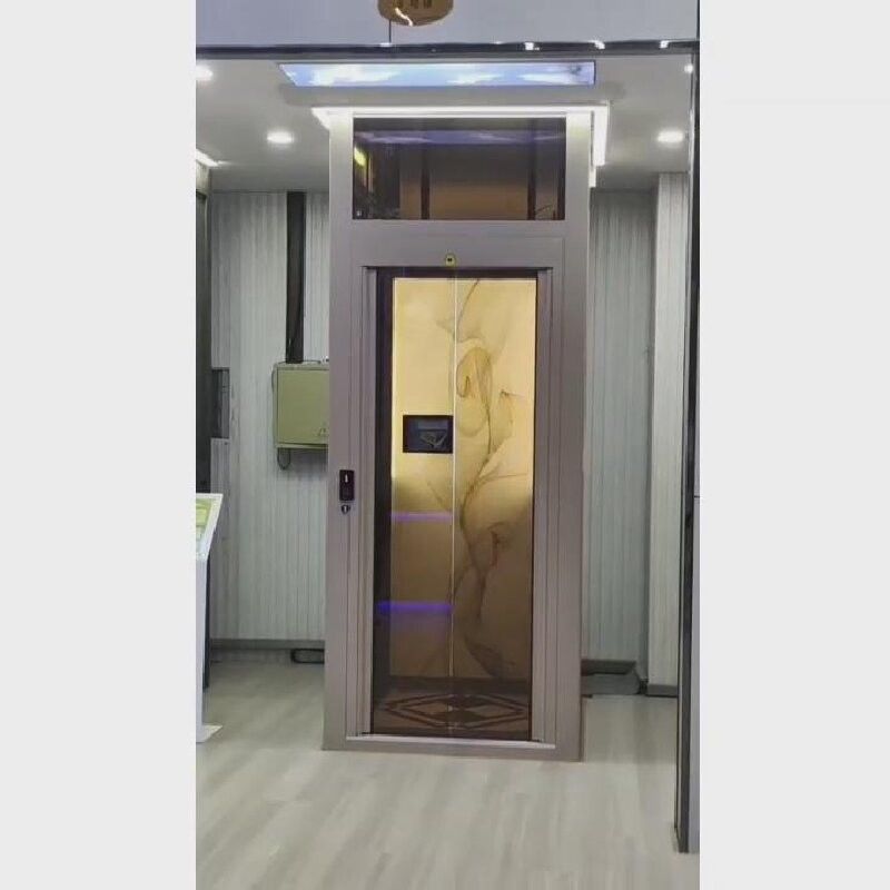 편안한 가정 구멍 없는 수압 엘리베이터 단일 또는 이중 우물 셰프트 유형
