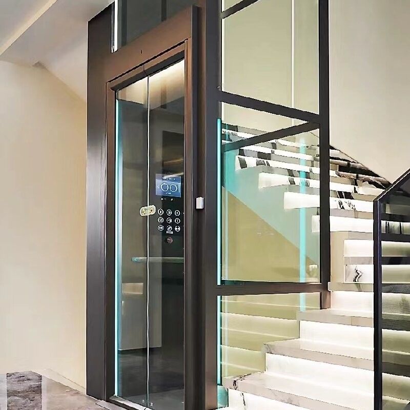 400kg-1000Kg 용량 주거용 견인 엘리베이터 30M 견인 엘리베이터