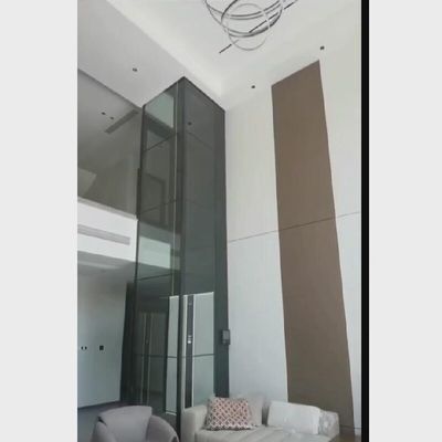 안전하고 신뢰할 수 있는 스크류 구동 엘리베이터 | 비상 정지 버튼이 있는 스테인리스 스틸 디자인