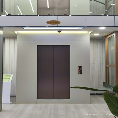 파노라믹 피트리스 홈 엘리베이터 | 경량 알루미늄 프레임