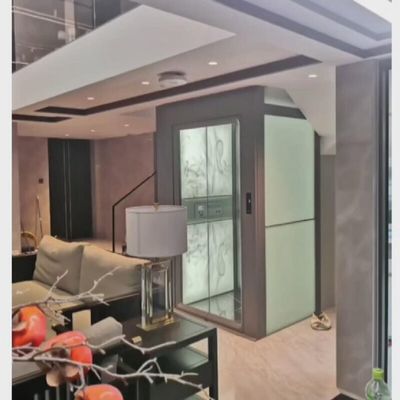 빌라 트랙션 안전 홈 엘리베이터 0.6 M/S 단일 / 세 단계 전원 공급